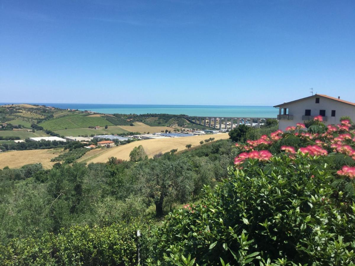 Ellebi B&B Montone  Eksteriør bilde