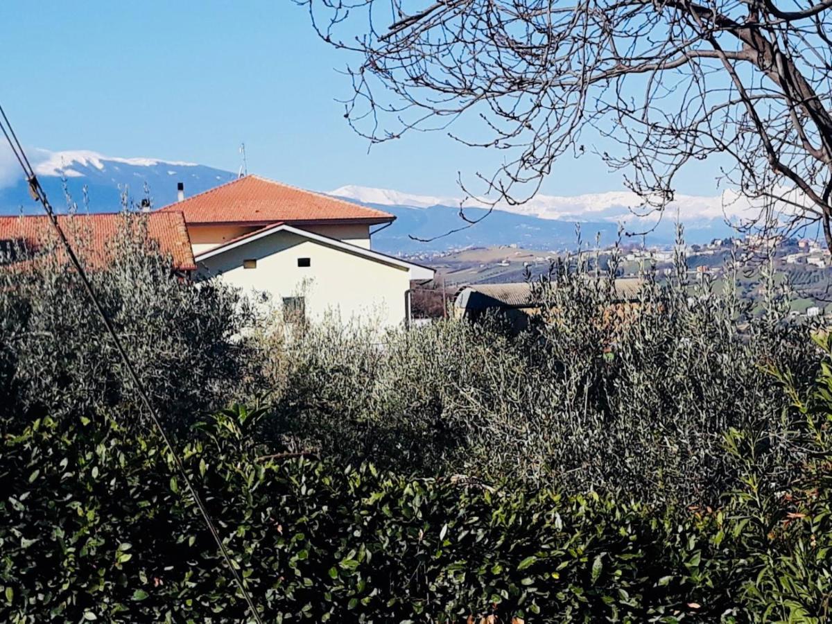 Ellebi B&B Montone  Eksteriør bilde