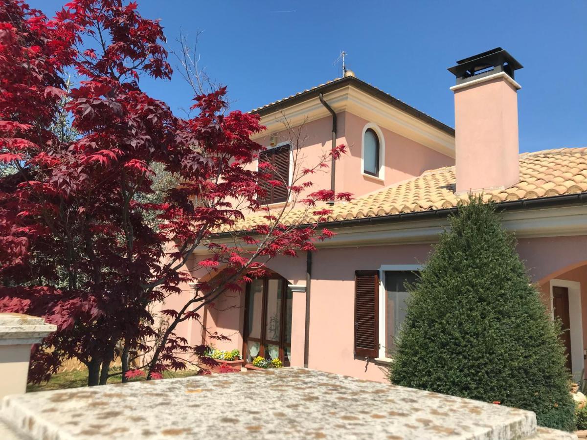 Ellebi B&B Montone  Eksteriør bilde